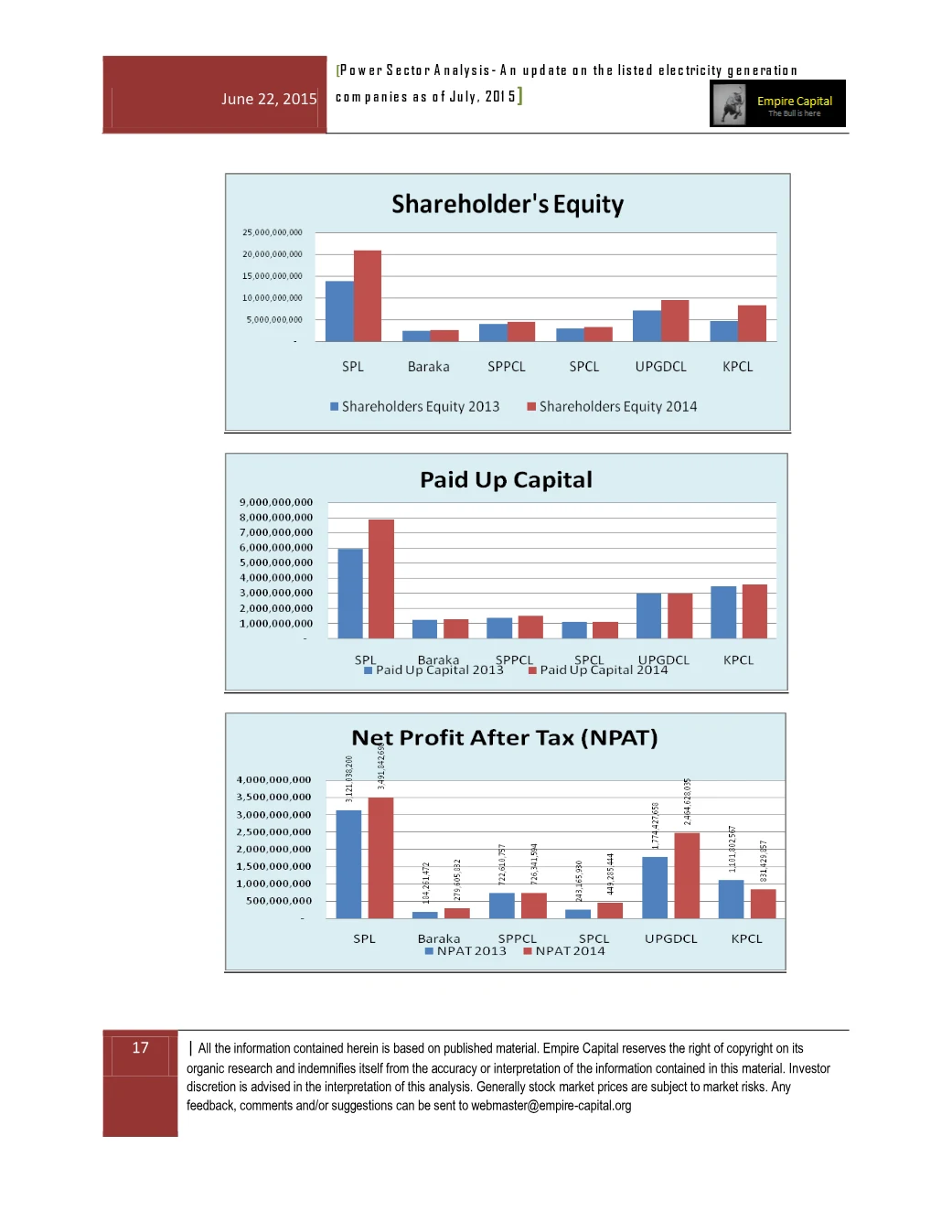 Shareholders' equity, paid-up capital and net profit, page 17 of the Power Sector Analysis 2015 report. Select the PDF download for selectable text and source links.